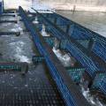 Öffnen Webanwendung zur Schlitzpass-Bemessung "WeSBe"
